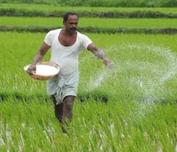 किसानों को फसल का मिलेगा पूरा दाम, मोदी सरकार दे रही है गारंटी: BJP नेताओं का दावा