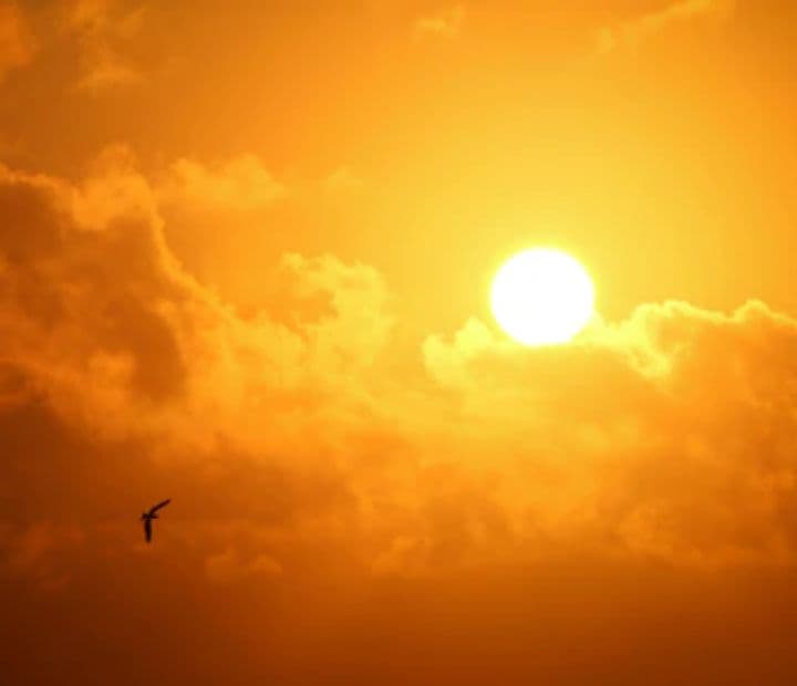 तेज धूप से झुलस रही है त्वचा! बिलासपुर में सनबर्न के बढ़े मामले, अस्पताल पहुंचे कई लोग
